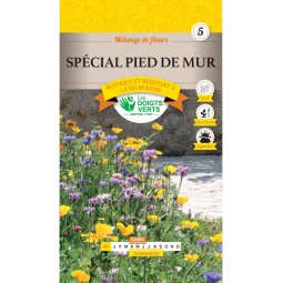 Sachet de graines Mélange Fleurs "Pied De Mur" 20g - Les Doigts Verts