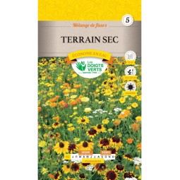Sachet de graines Mélange Fleurs "Terrain Sec" 20g - Les Doigts Verts