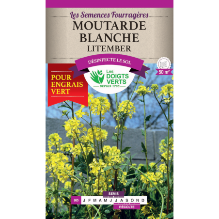 Moutarde blanche 100g - Les Doigts Verts