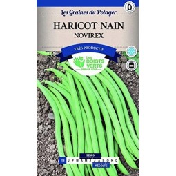 Haricot nain novirex - Les Doigts Verts