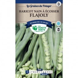 Boite de graines haricot nain Flajoly - Les Doigts verts