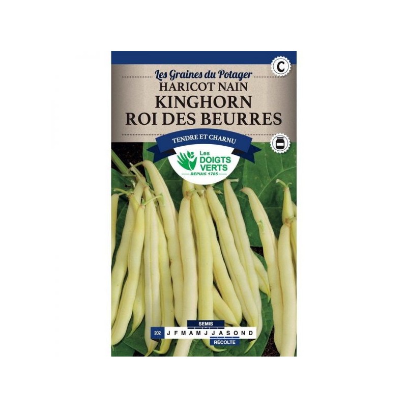 Haricot nain Kinghorn roi des beurres - Les Doigts Verts