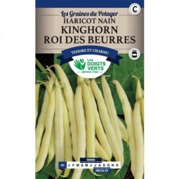 Haricot nain Kinghorn roi des beurres - Les Doigts Verts