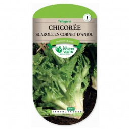 Chicorée scarole en cornet d'Anjou - Les Doigts Verts