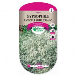 Gypsophile paniculé simple blanc - Les Doigts Verts