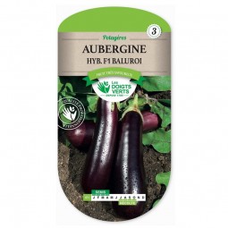 Aubergine Baluroi Hyb. F1 - Les Doigts Verts
