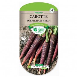 Carotte purple haze Hyb.F1 - Les Doigts Verts