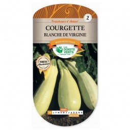Courgette blanche de Virginie - Les Doigts Verts