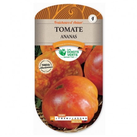 Tomate ananas - Les Doigts Verts