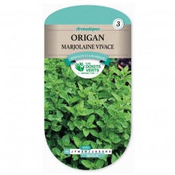 Origan marjolaine vivace - Les Doigts Verts