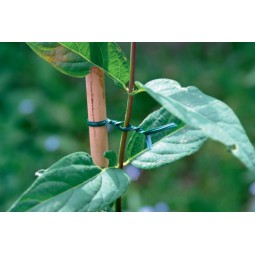 Lien plastique AP-FIX 100m Nortene